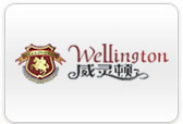 威灵顿