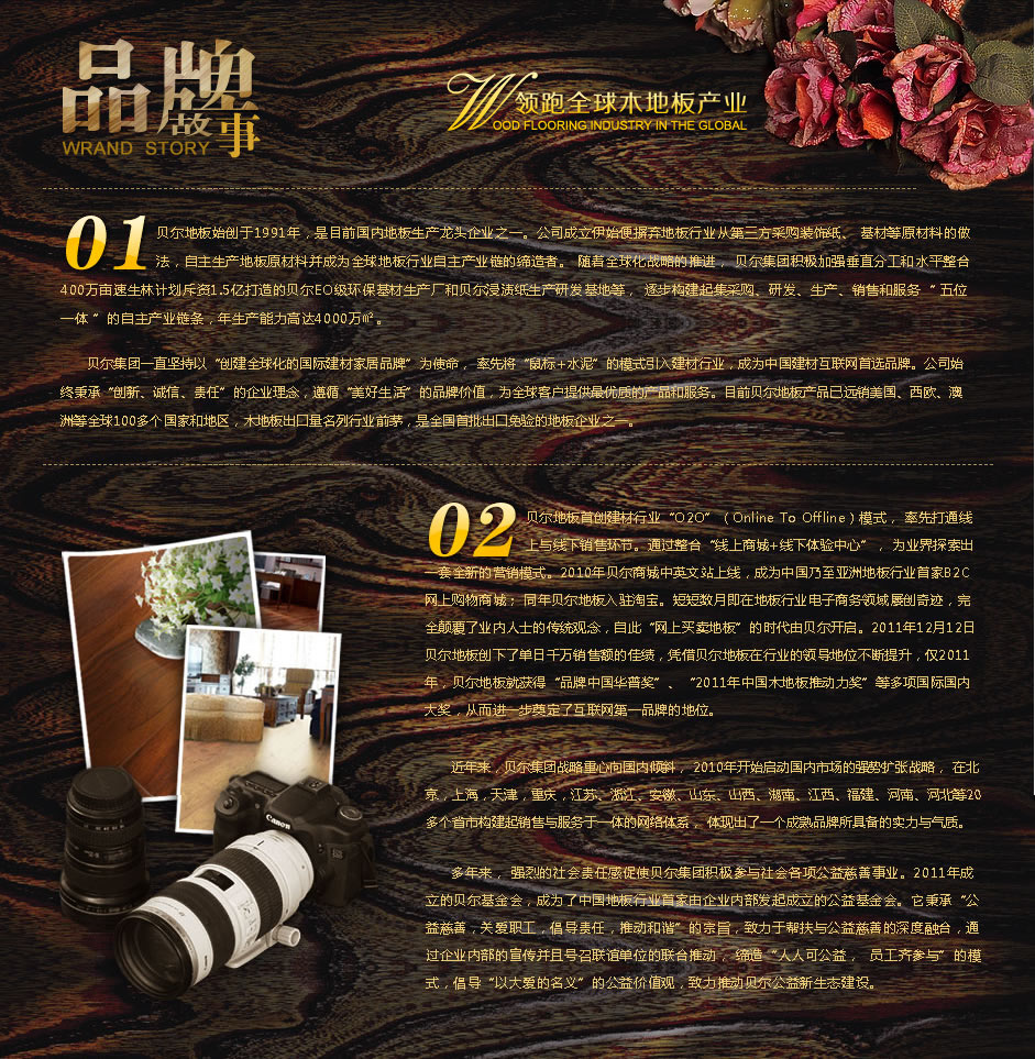 宝居乐-品牌故事