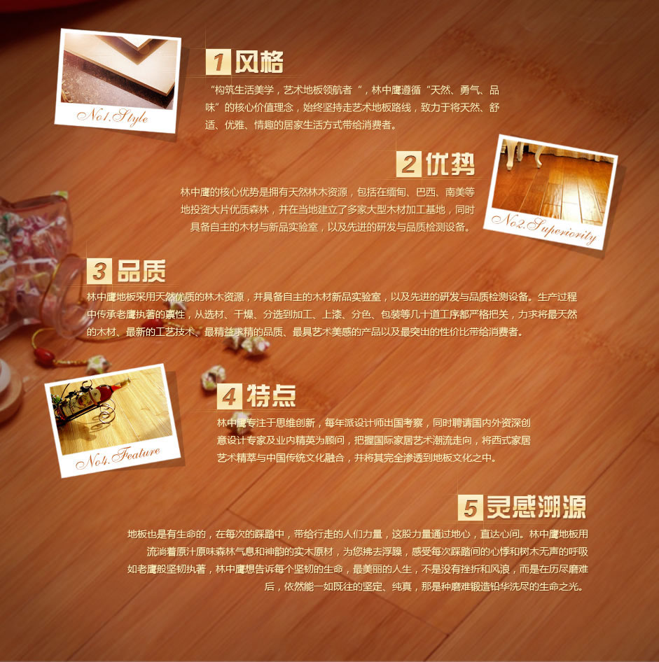 宝居乐-品牌故事